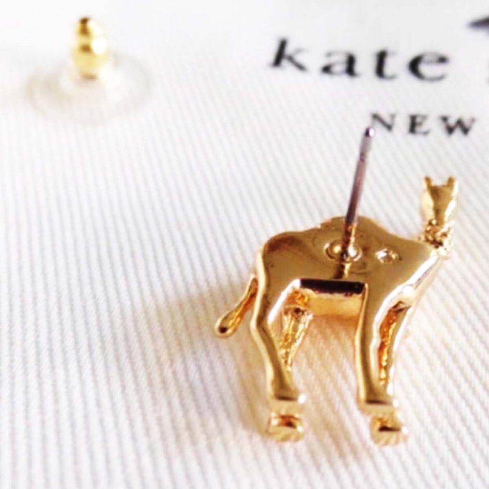 Kate Spade Spice Things Up Camel Earrings & Necklace - Picture 5 of 13
